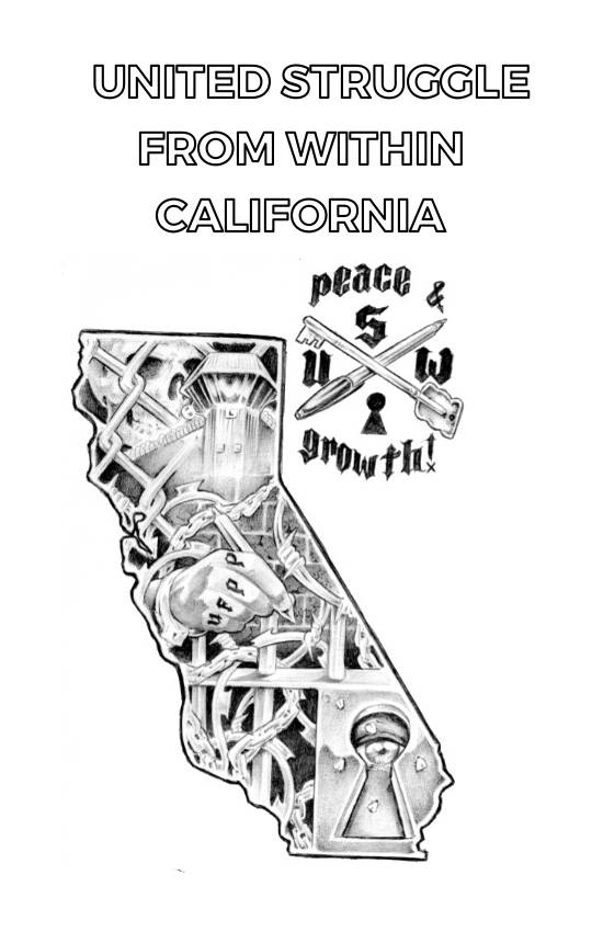 California United Struggle from Within Primer