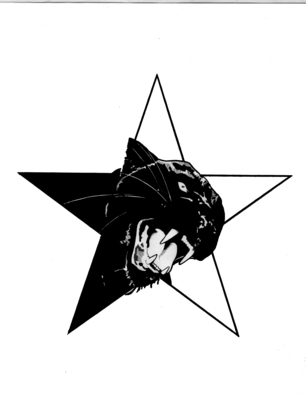 Rashid black panther red star