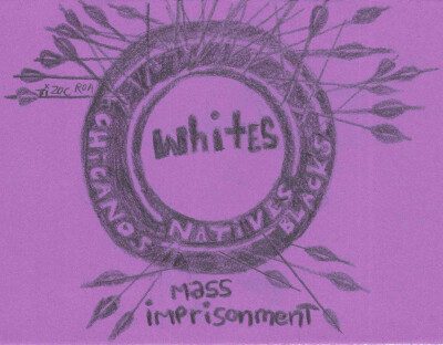 mass imprisonment misses whites