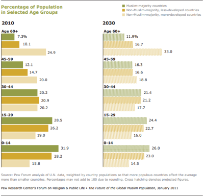 Muslim Age Demographics