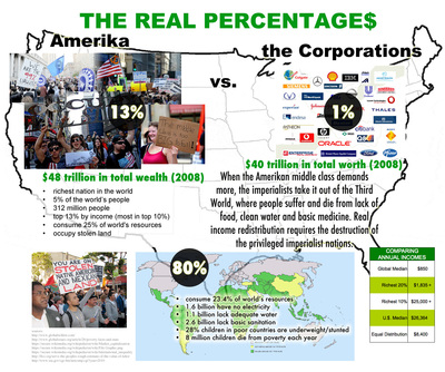 infographic on the 99% occupy wall street - the real percentages