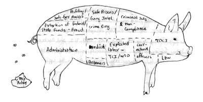 TDCJ Pig